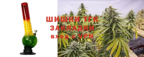 амф Снежинск
