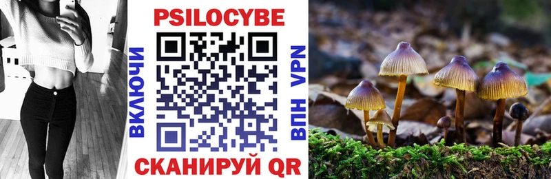 mega зеркало darknet официальный сайт Игарка Псилоцибиновые грибы ЛСД даркнет сайт